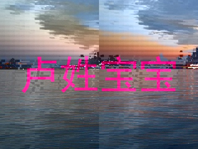 卢姓宝宝