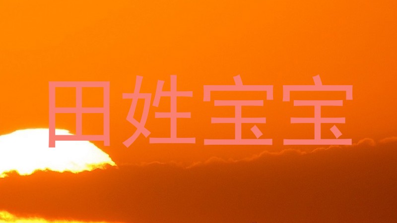 田姓宝宝