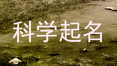 科学起名