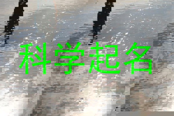 科学起名