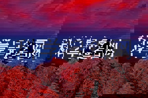 科学起名网