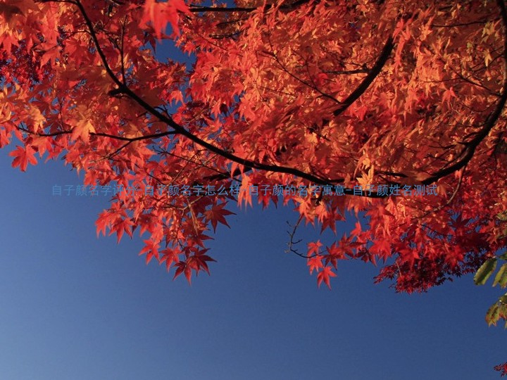 自子颜名字评分-自子颜名字怎么样-自子颜的名字寓意-自子颜姓名测试