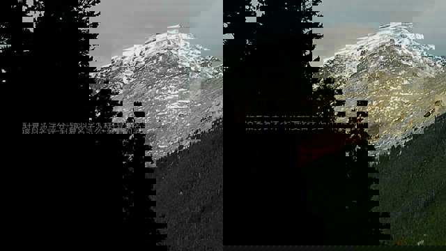 轩辕夏羽名字评分-轩辕夏羽名字怎么样-轩辕夏羽的名字寓意-轩辕夏羽姓名测试