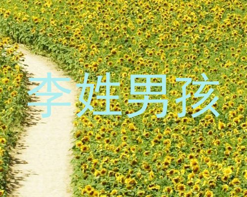 李姓男孩