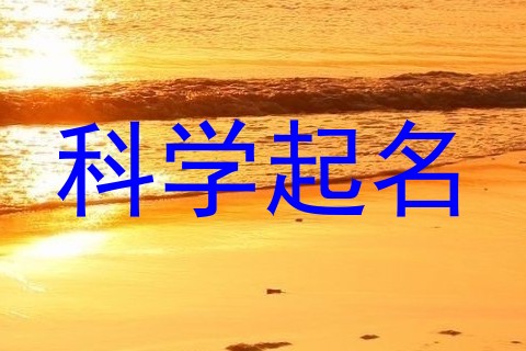 科学起名