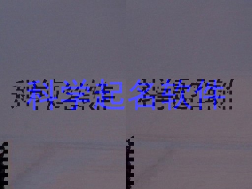 科学起名软件