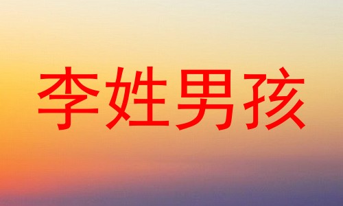 李姓男孩