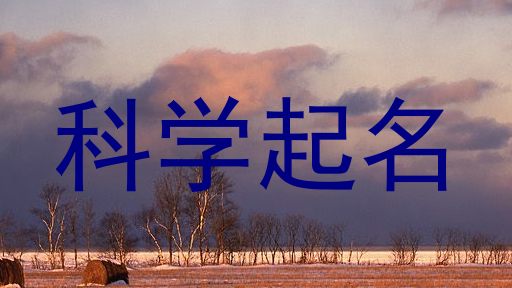 科学起名