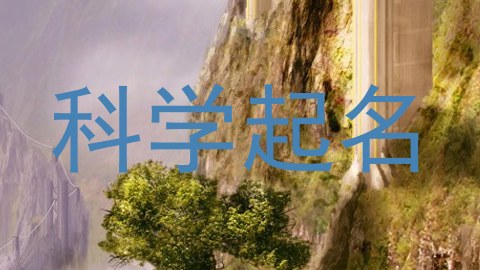 科学起名