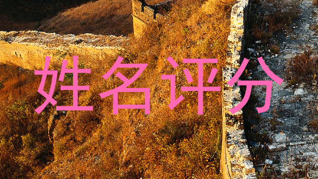 姓名评分