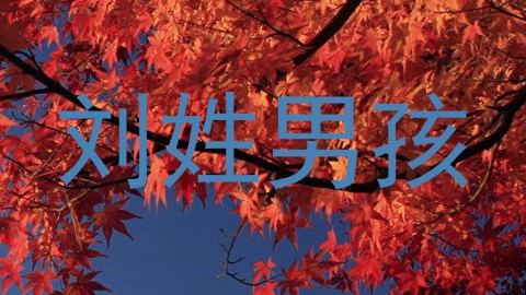 刘姓男孩