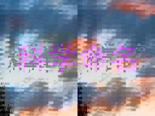 科学命名