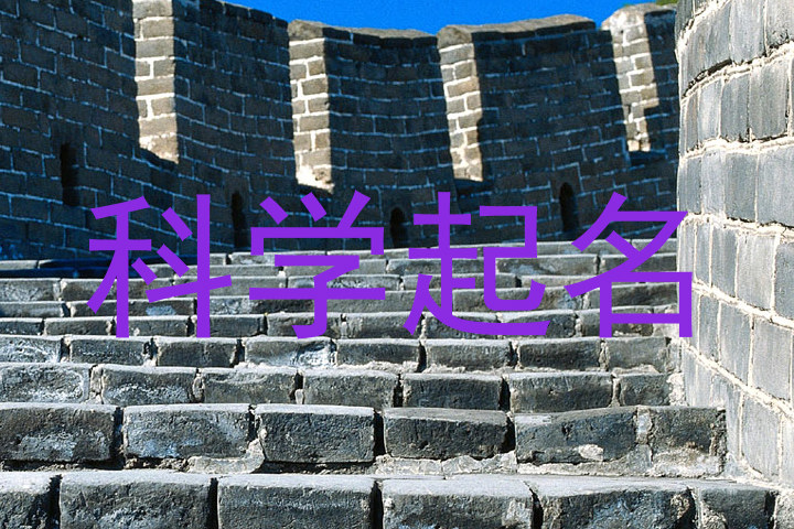 科学起名