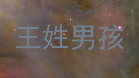 王姓男孩