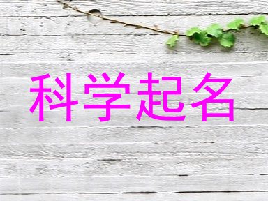 科学起名