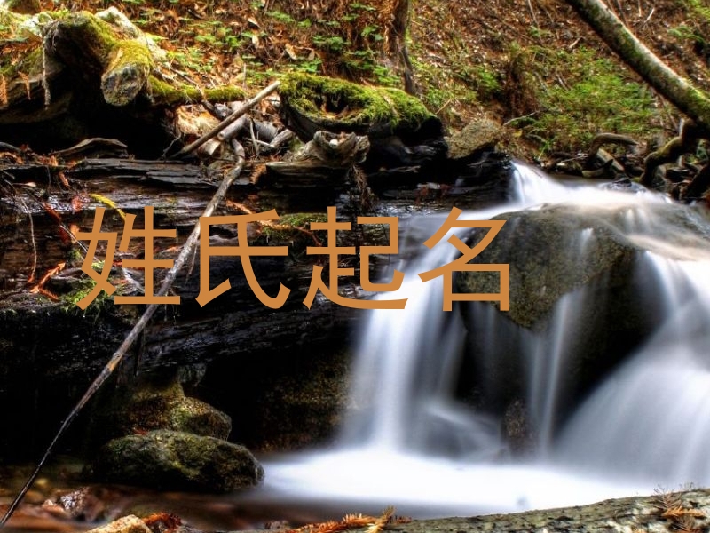 姓氏起名
