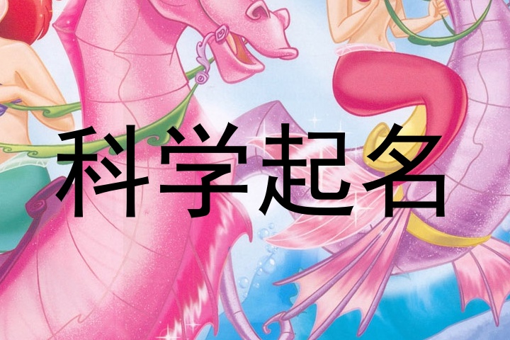 科学起名