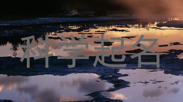 科学起名