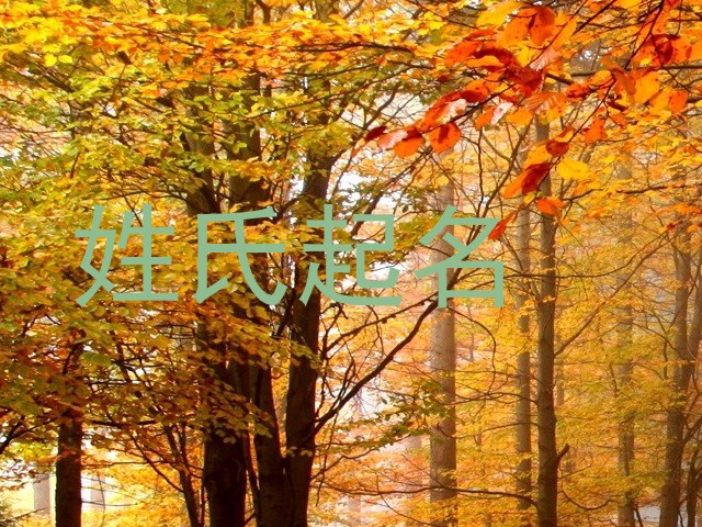 姓氏起名