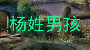 杨姓男孩