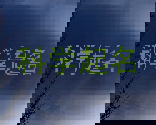 科学起名