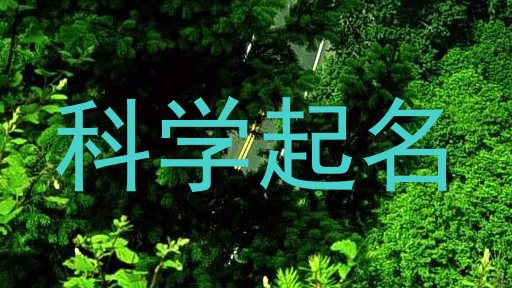 科学起名