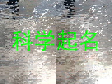 科学起名