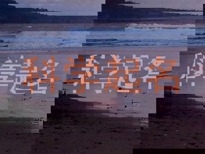 科学起名