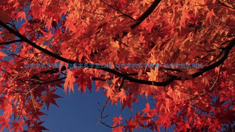 勾杰宇名字评分-勾杰宇名字怎么样-勾杰宇的名字寓意-勾杰宇姓名测试