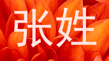 张姓