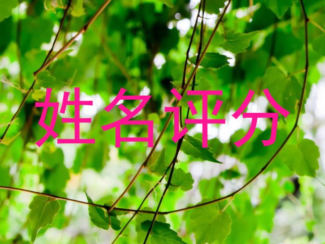 姓名评分