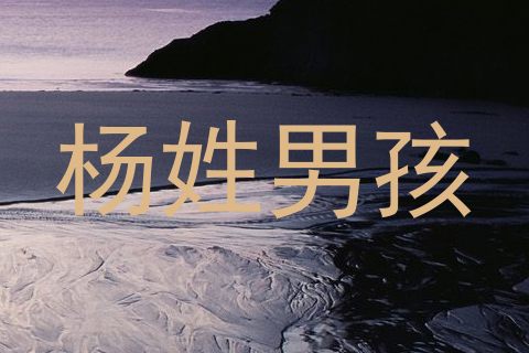 杨姓男孩