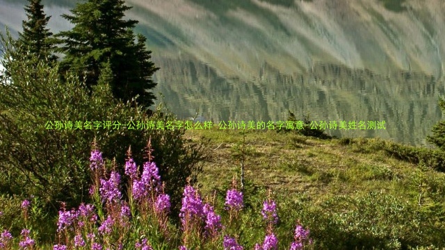 公孙诗美名字评分-公孙诗美名字怎么样-公孙诗美的名字寓意-公孙诗美姓名测试