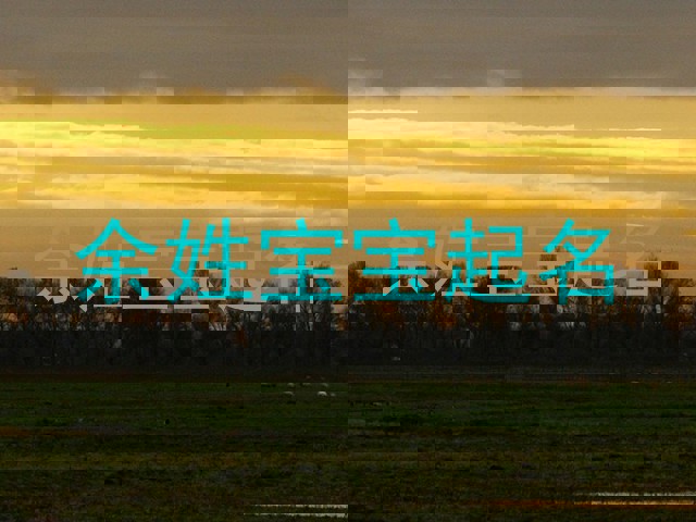 余姓宝宝起名