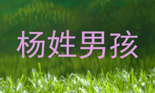 杨姓男孩