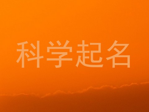 科学起名