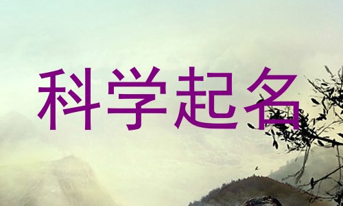 科学起名
