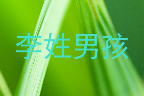 李姓男孩