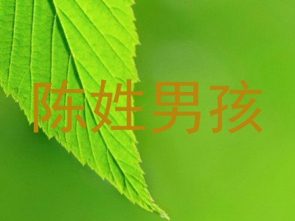 陈姓男孩