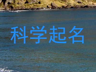 科学起名