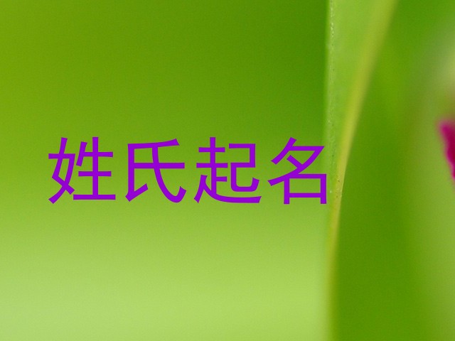 姓氏起名