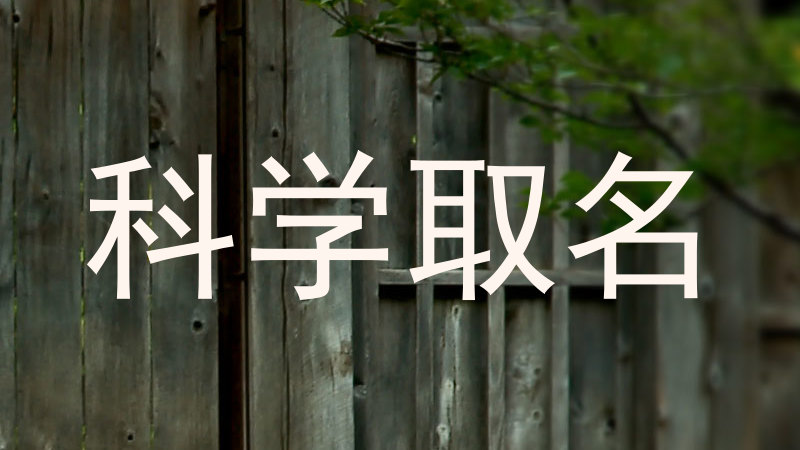 科学取名