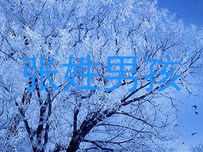 张姓男孩