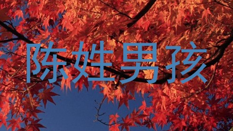 陈姓男孩