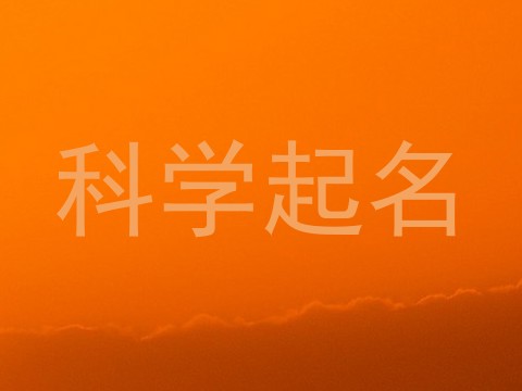 科学起名
