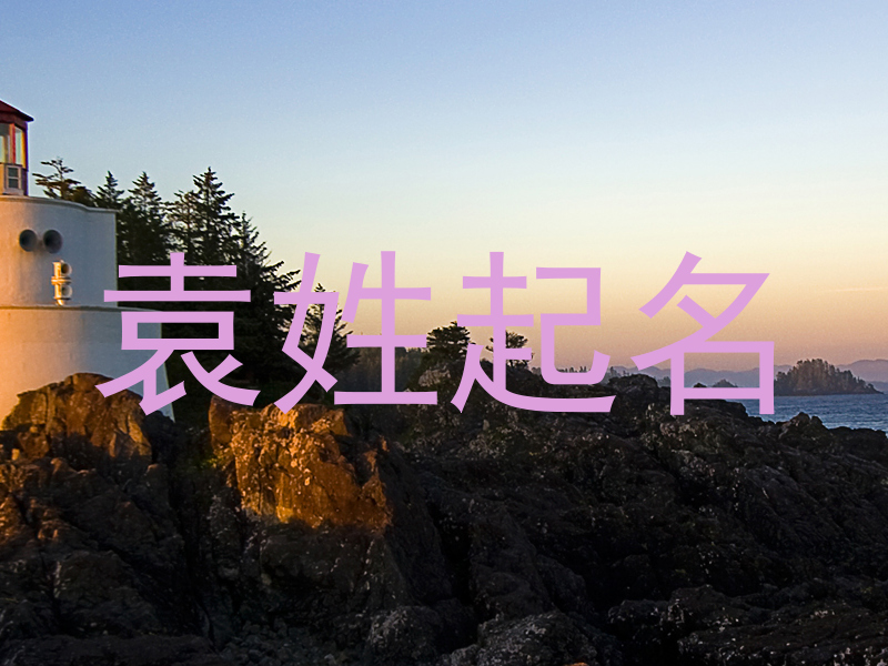 袁姓起名