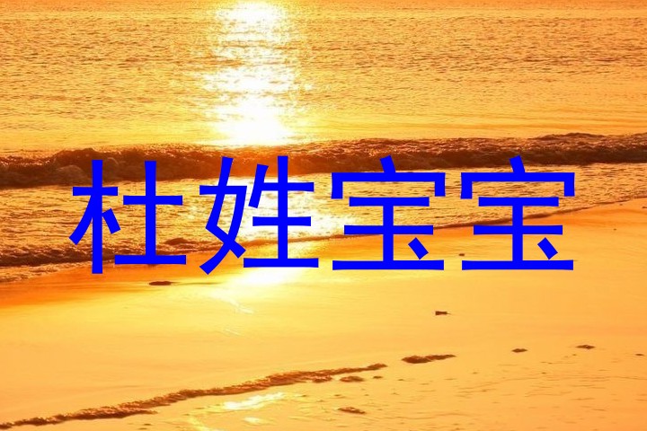 杜姓宝宝
