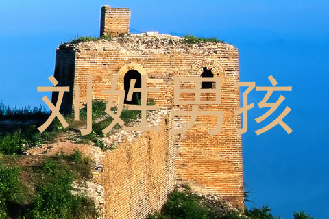 刘姓男孩