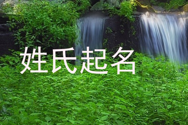 姓氏起名
