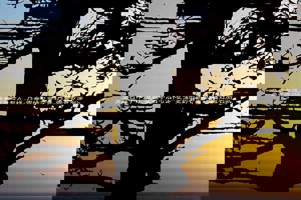 殳雯鑫名字评分-殳雯鑫名字怎么样-殳雯鑫的名字寓意-殳雯鑫姓名测试